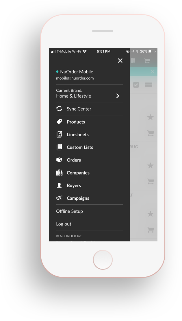 Mobile 4.0 on iPhone.