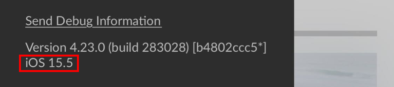 iOS version displayed in NuORDER app.